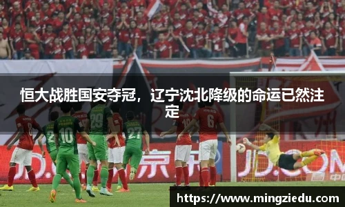 BB视讯官网