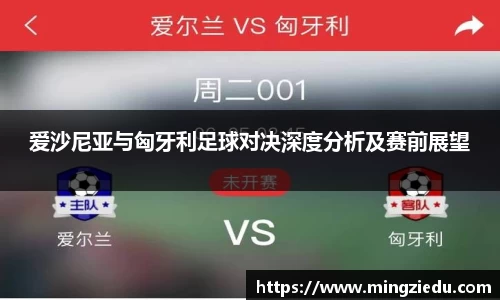 爱沙尼亚与匈牙利足球对决深度分析及赛前展望